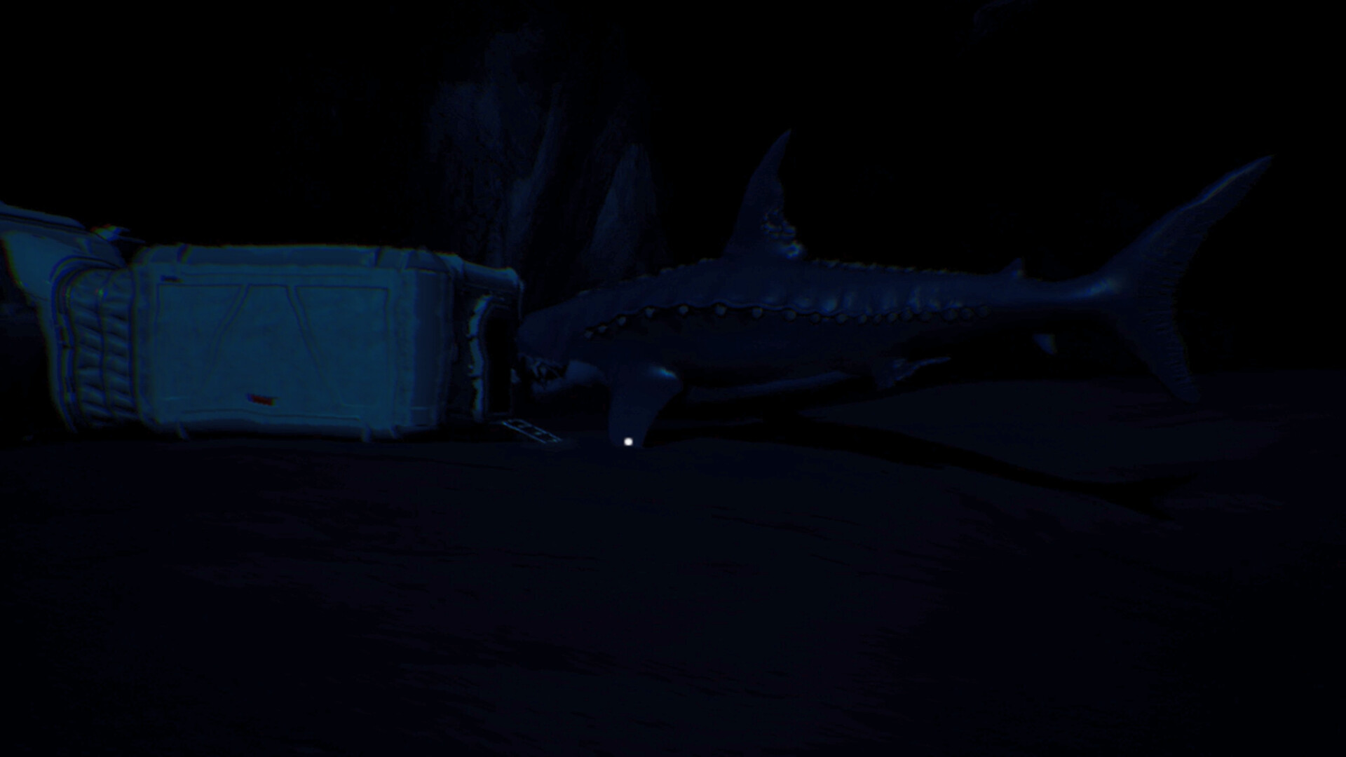 Abyssal Trench