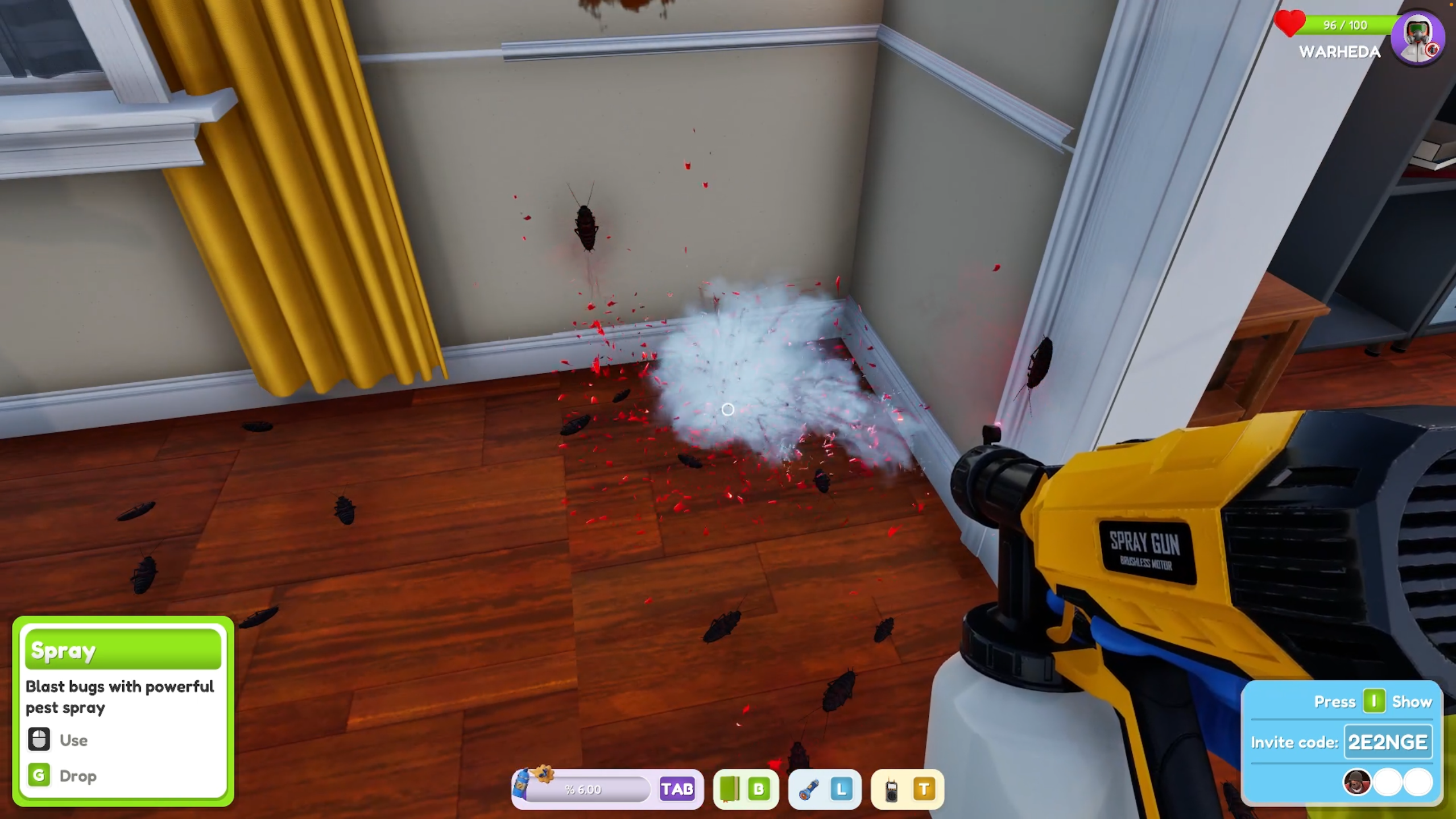 Bug Cleaners