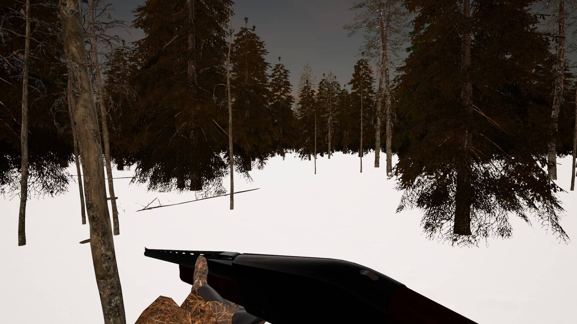 Man and Dog: Small Game Hunt