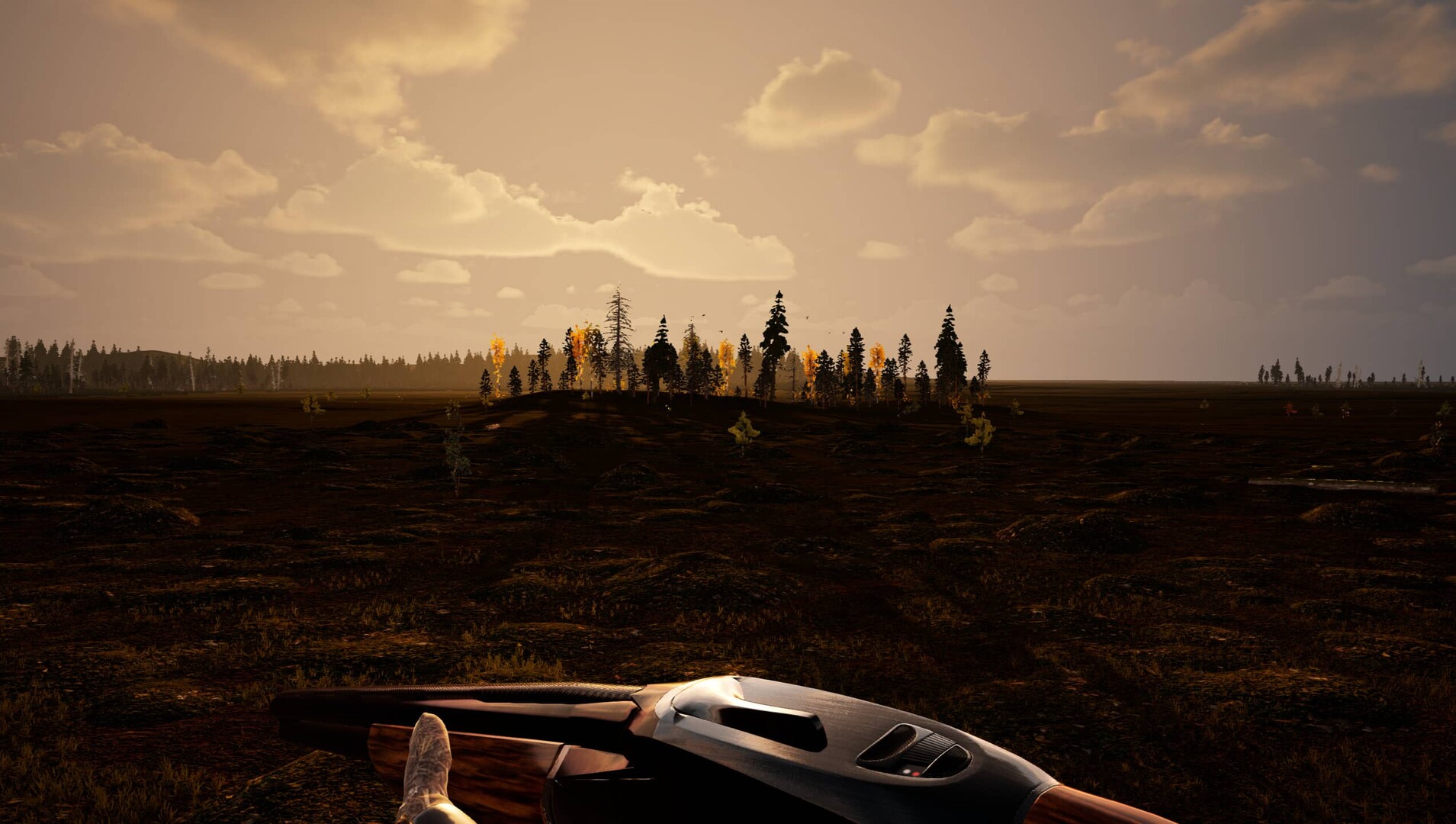 Man and Dog: Small Game Hunt