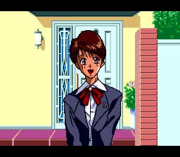 Super Real Mahjong P.V Custom