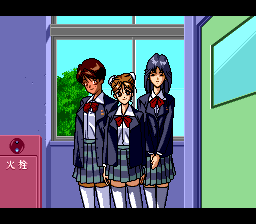 Super Real Mahjong P.V Custom