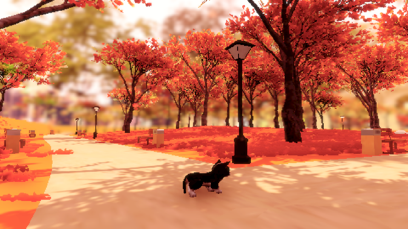 Fluffy Autumn