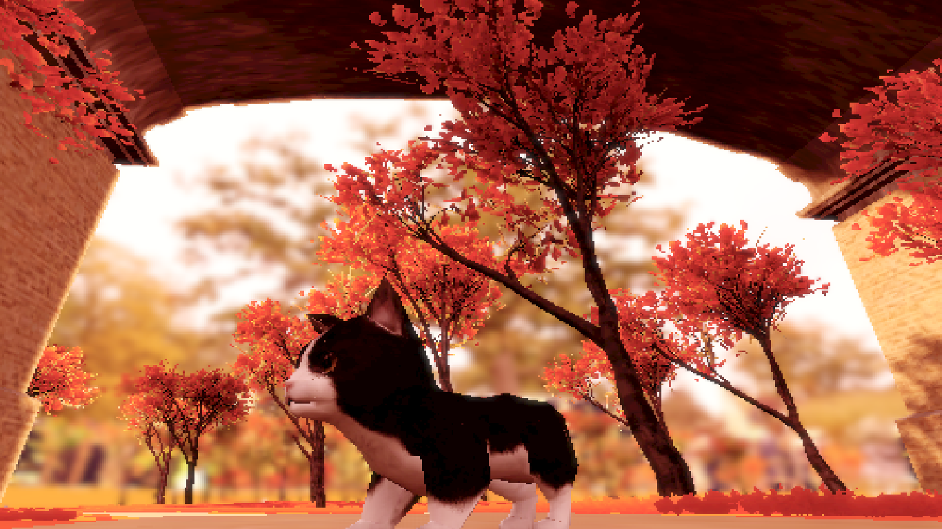 Fluffy Autumn