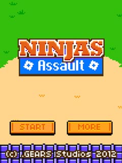 Ninjas: Assault