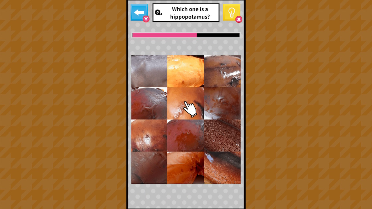 Brain Challenge Spot the Real One!