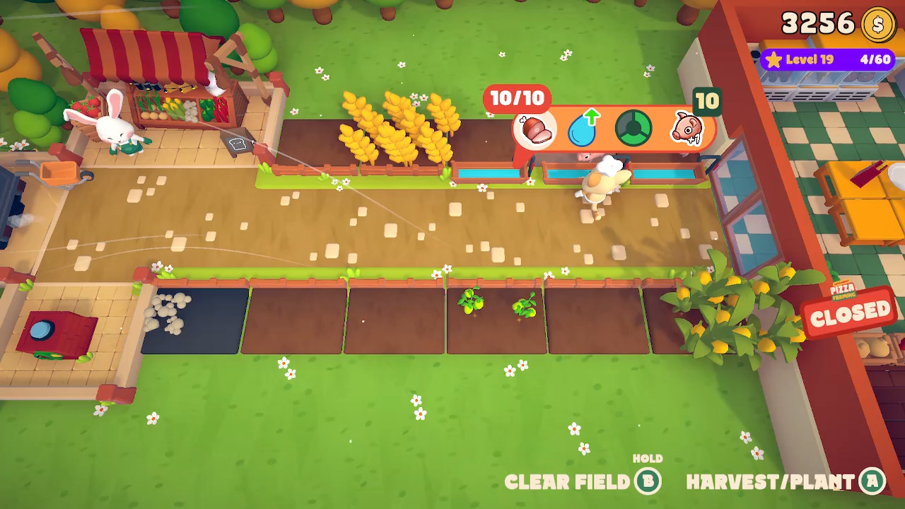 Cat &amp; Rabbit Pizza Farming