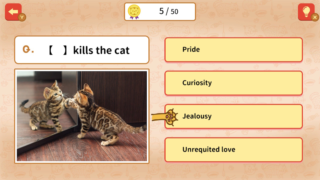 Quiz! Cat Proverbs Around the World