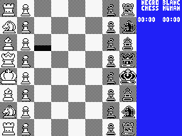 The Chessmaster 2000