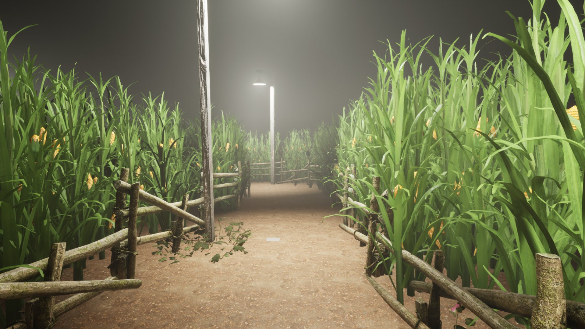 What Happened to Lily?