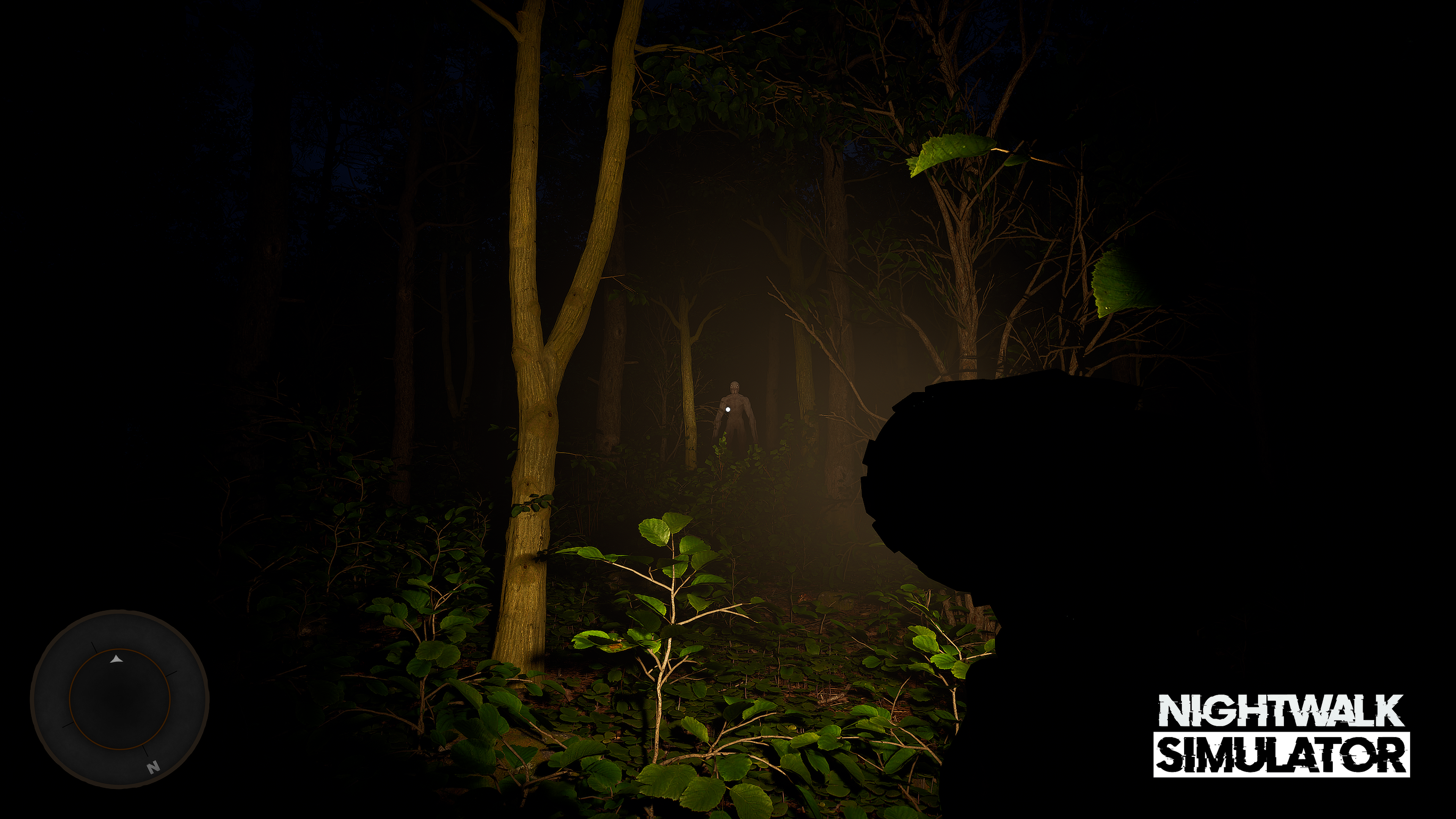 Nightwalk Simulator