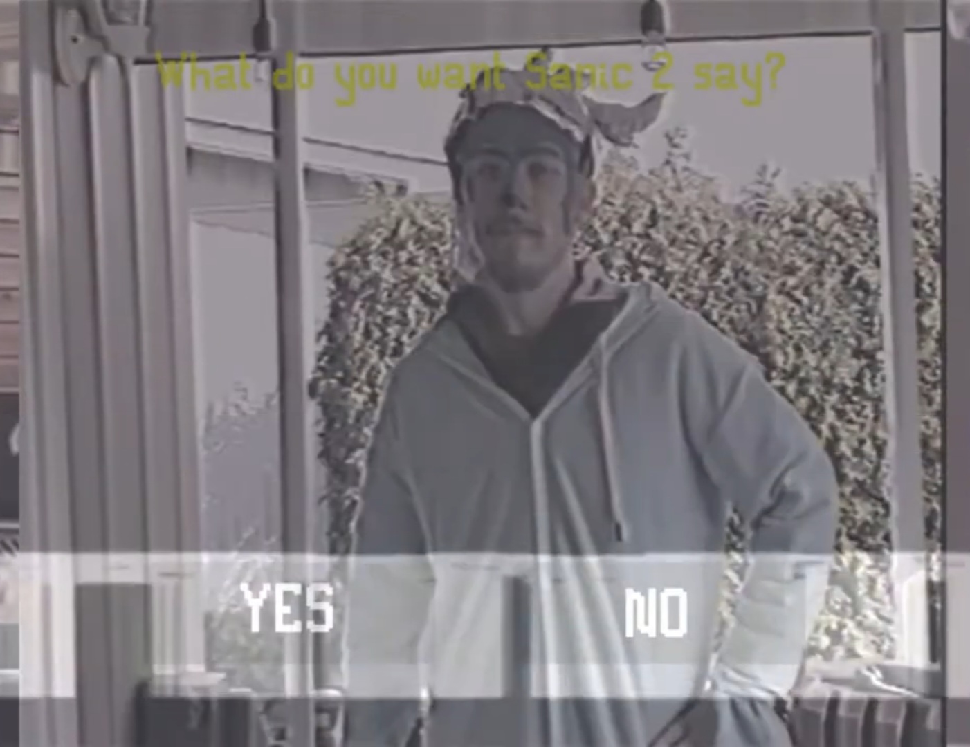 Sanic the Hawtdawg: Da Movie – Da Game 2.1: Electric Boogaloo 2.2 Version 4 – The Squeakquel: VHS Edition – Directors Cut: Special Edition – The Musical &amp; Knackles