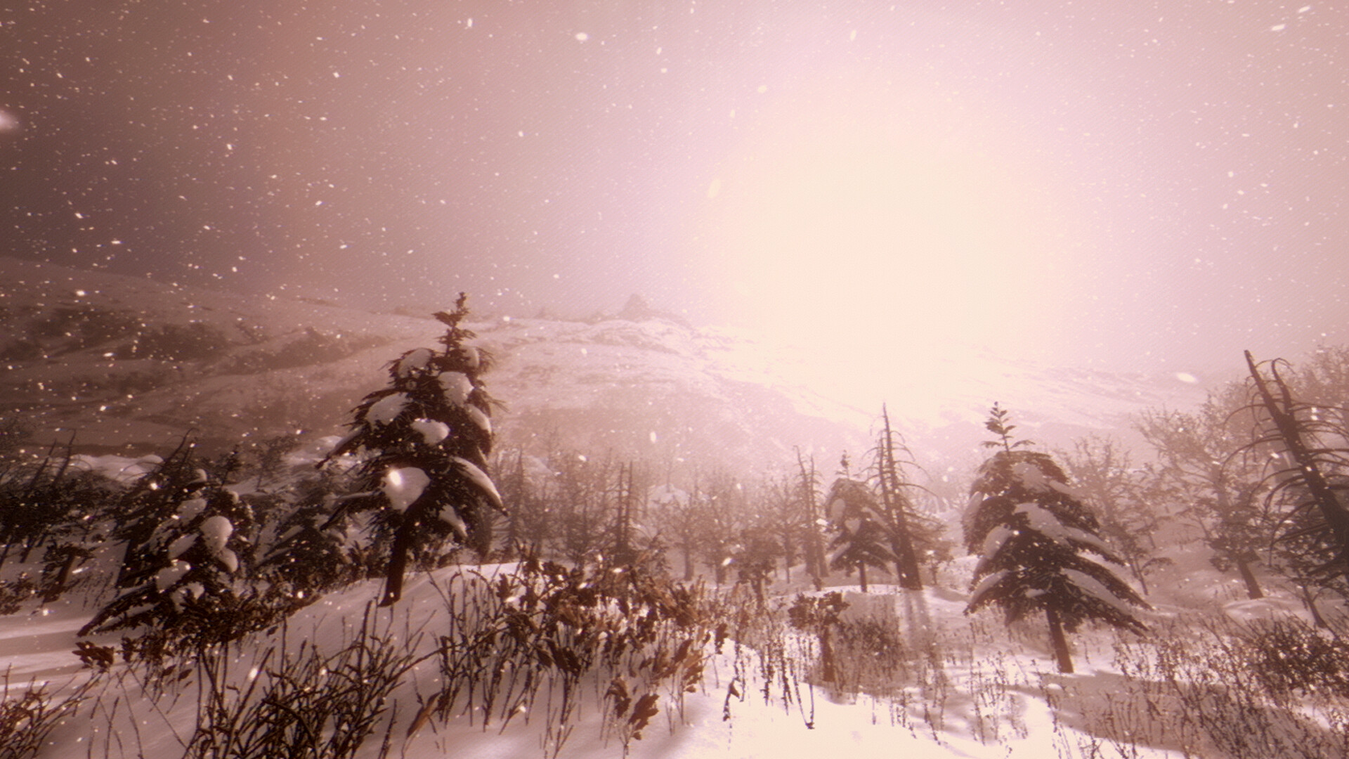 Tales Beyond the Tomb: White Silence