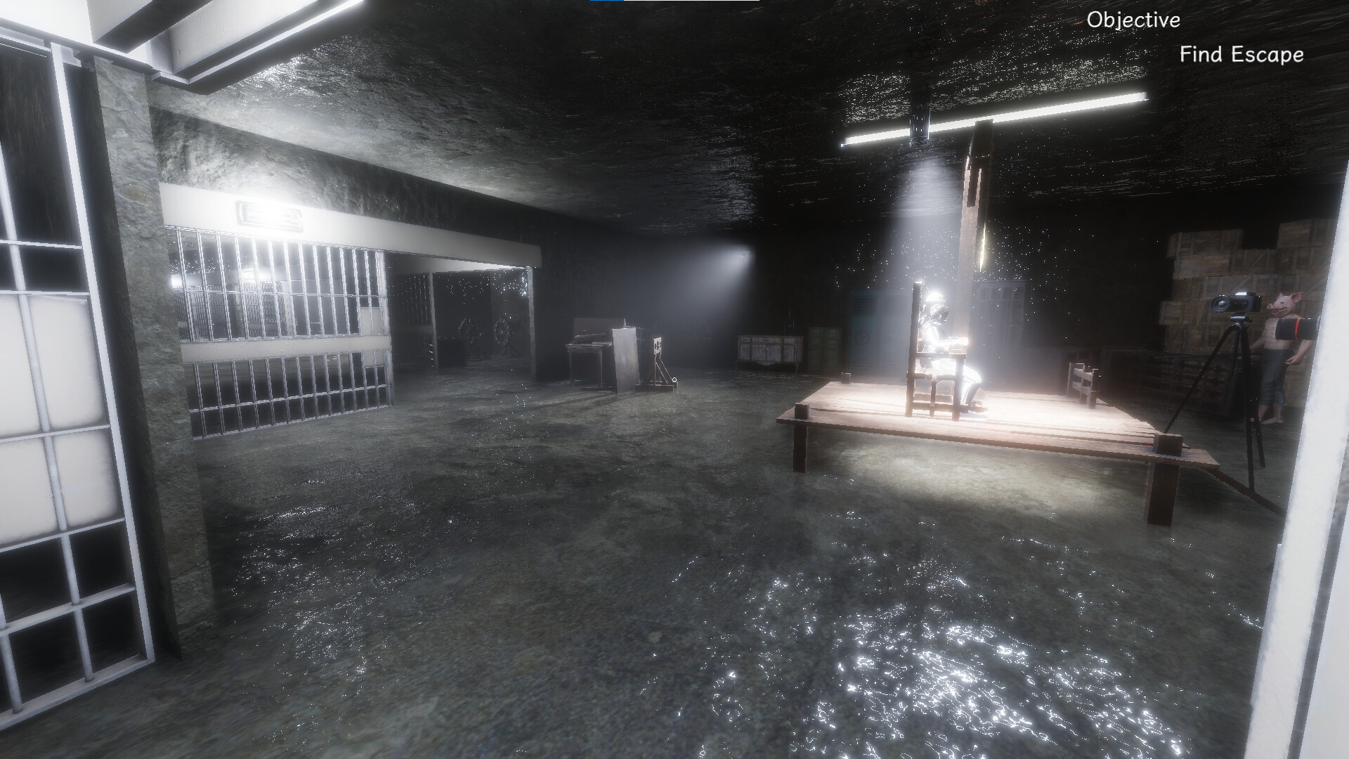 Synthetic Captive