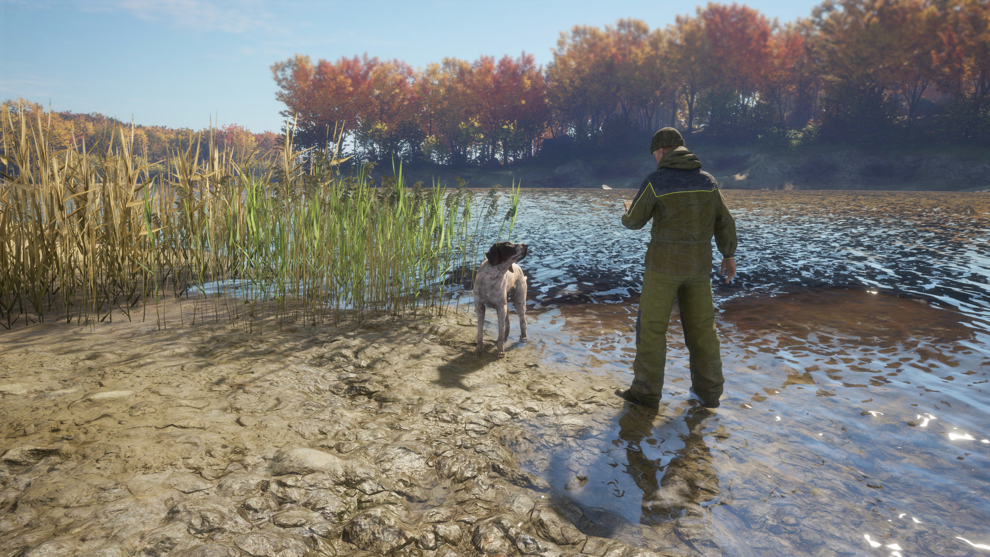 TheHunter: Call of the Wild – German Shorthaired Pointer