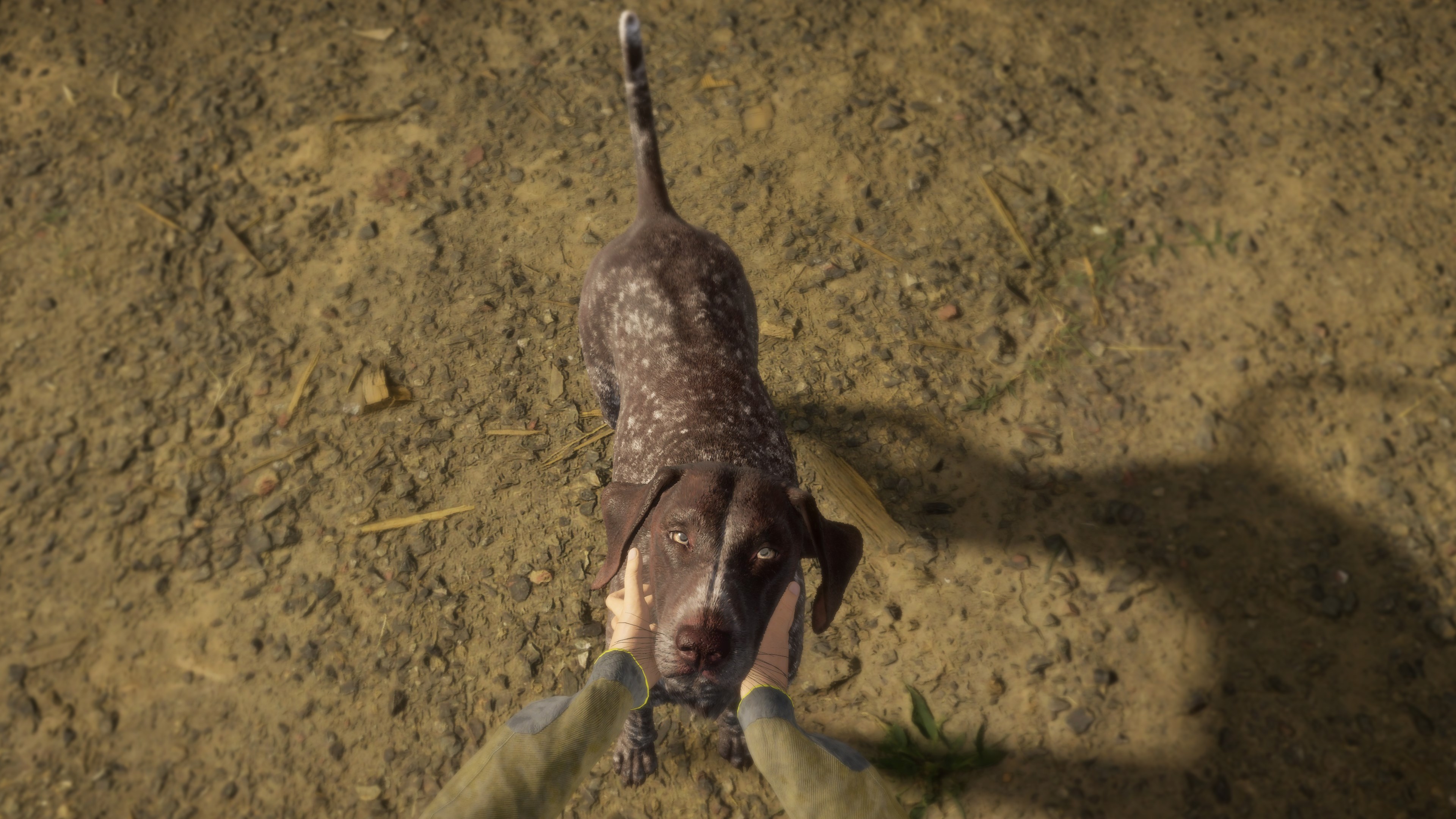 TheHunter: Call of the Wild – German Shorthaired Pointer