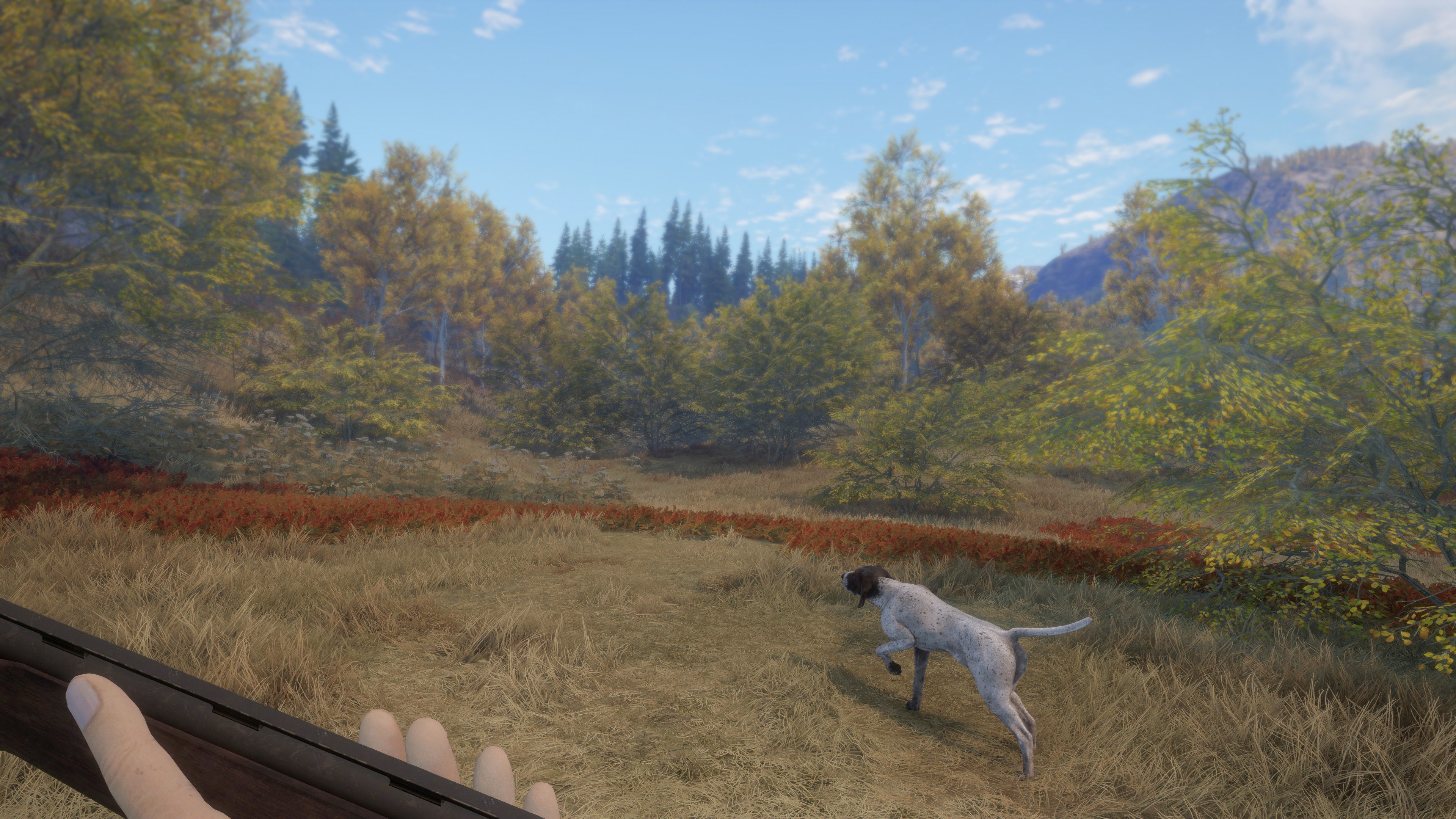 TheHunter: Call of the Wild – German Shorthaired Pointer