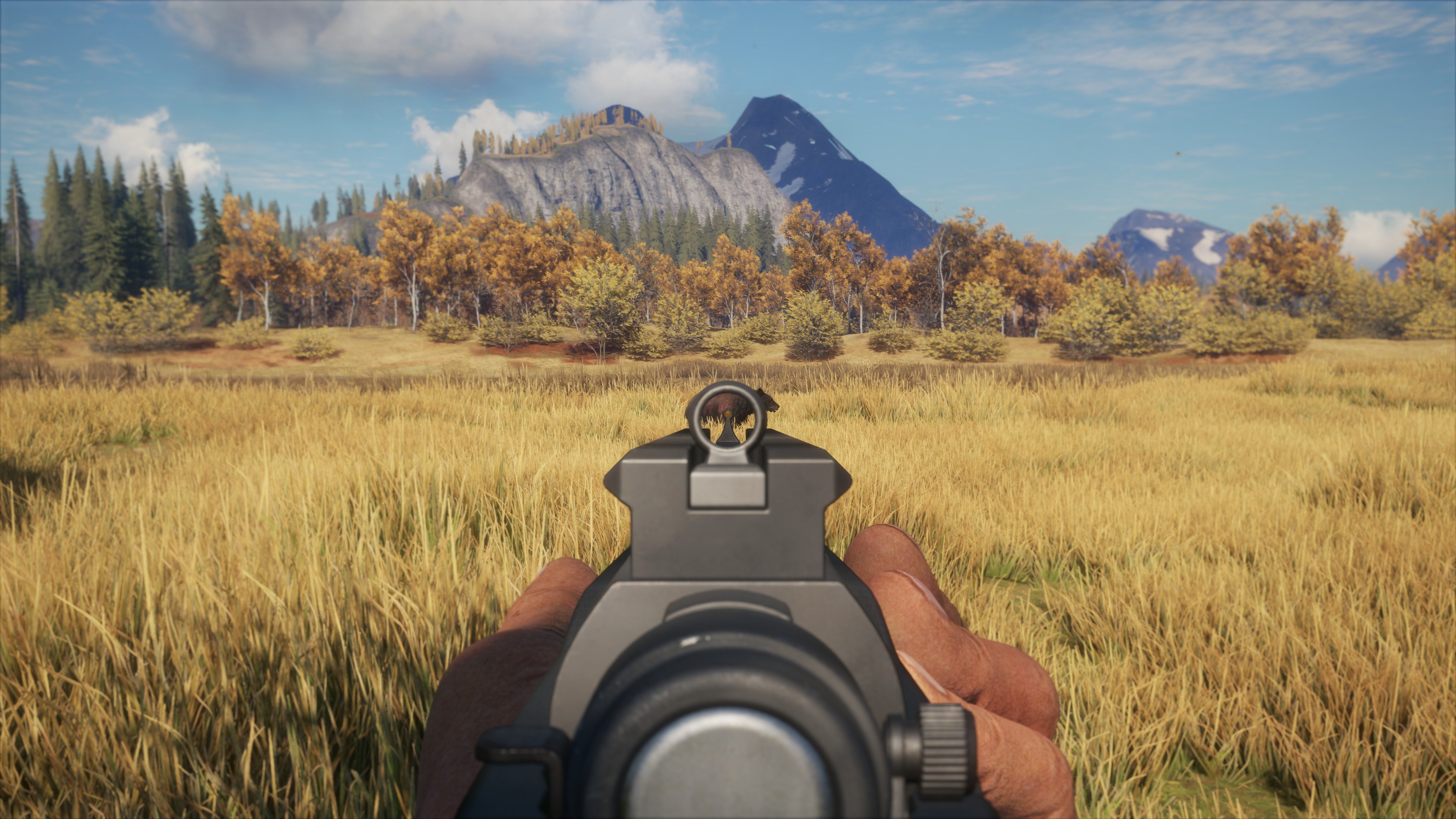 TheHunter: Call of the Wild – Hunters’ Choice: Bolt Action Rifle Pack