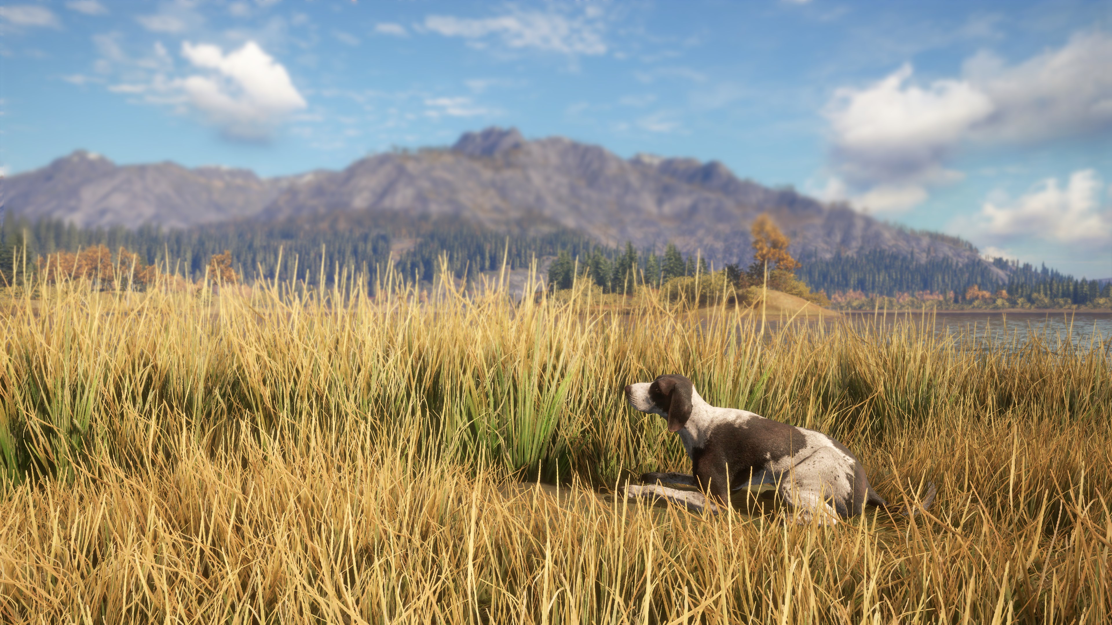 TheHunter: Call of the Wild – German Shorthaired Pointer