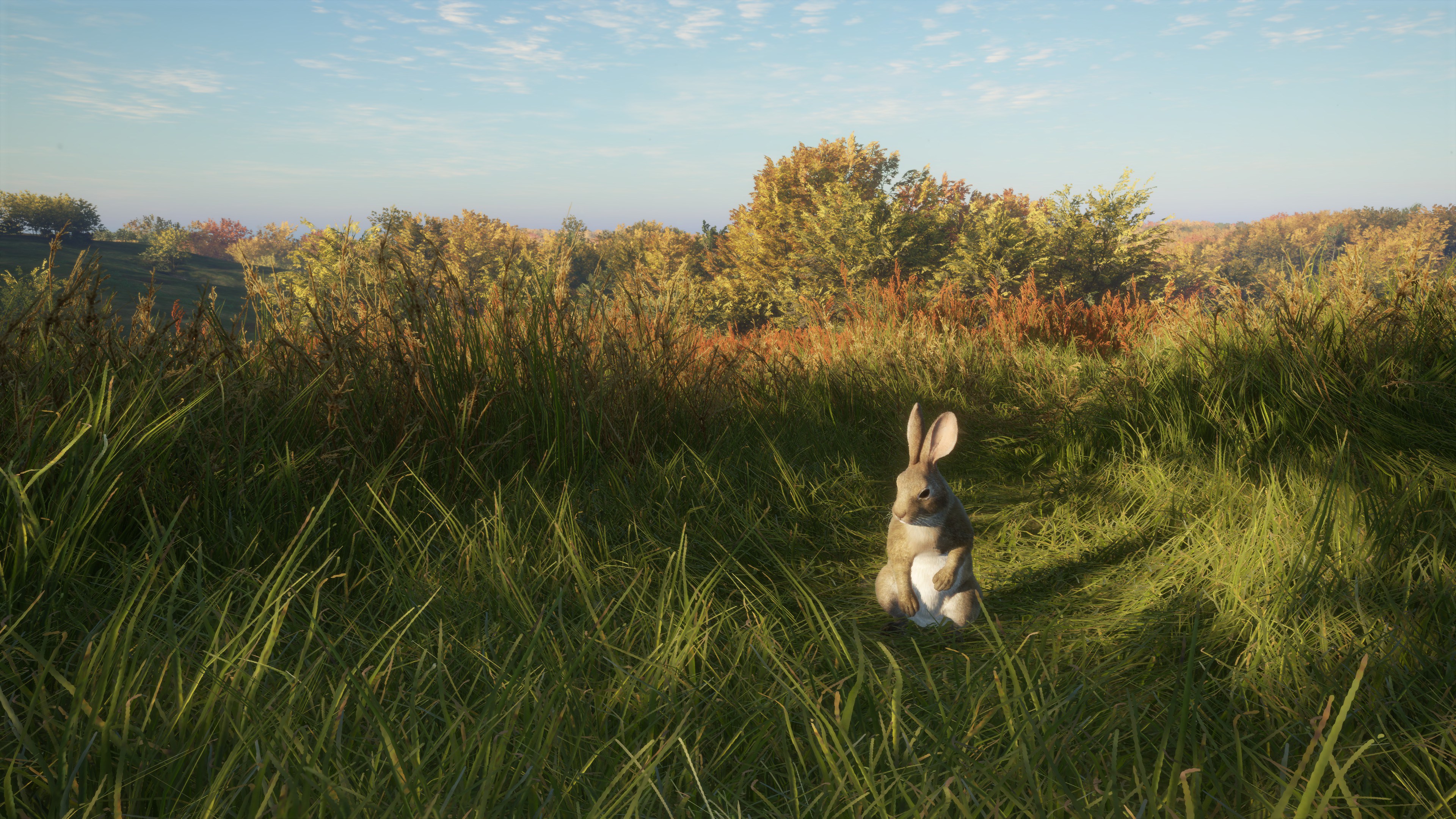 TheHunter: Call of the Wild – Salzwiesen Park