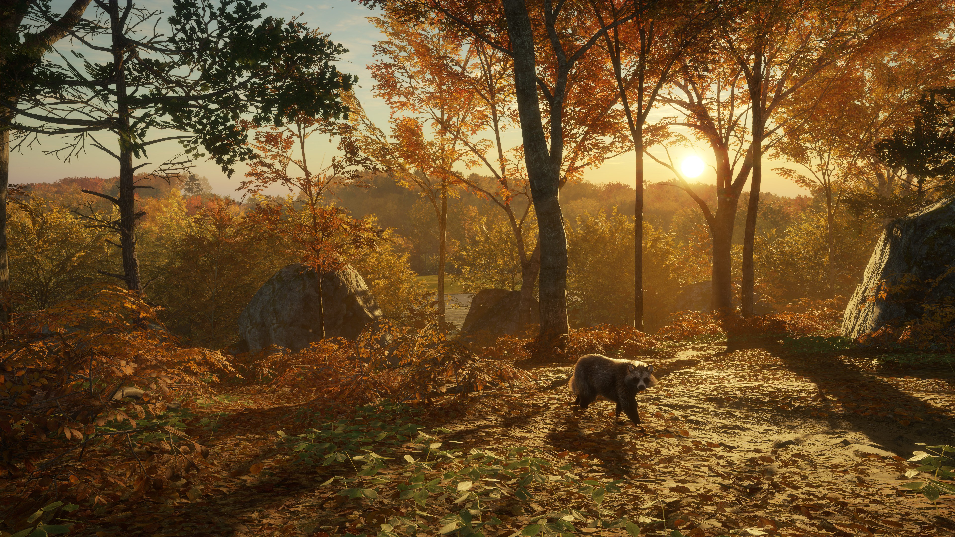 TheHunter: Call of the Wild – Salzwiesen Park