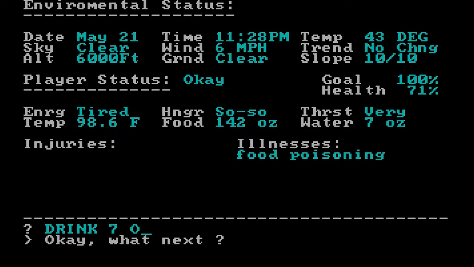 Wilderness: A Survival Adventure