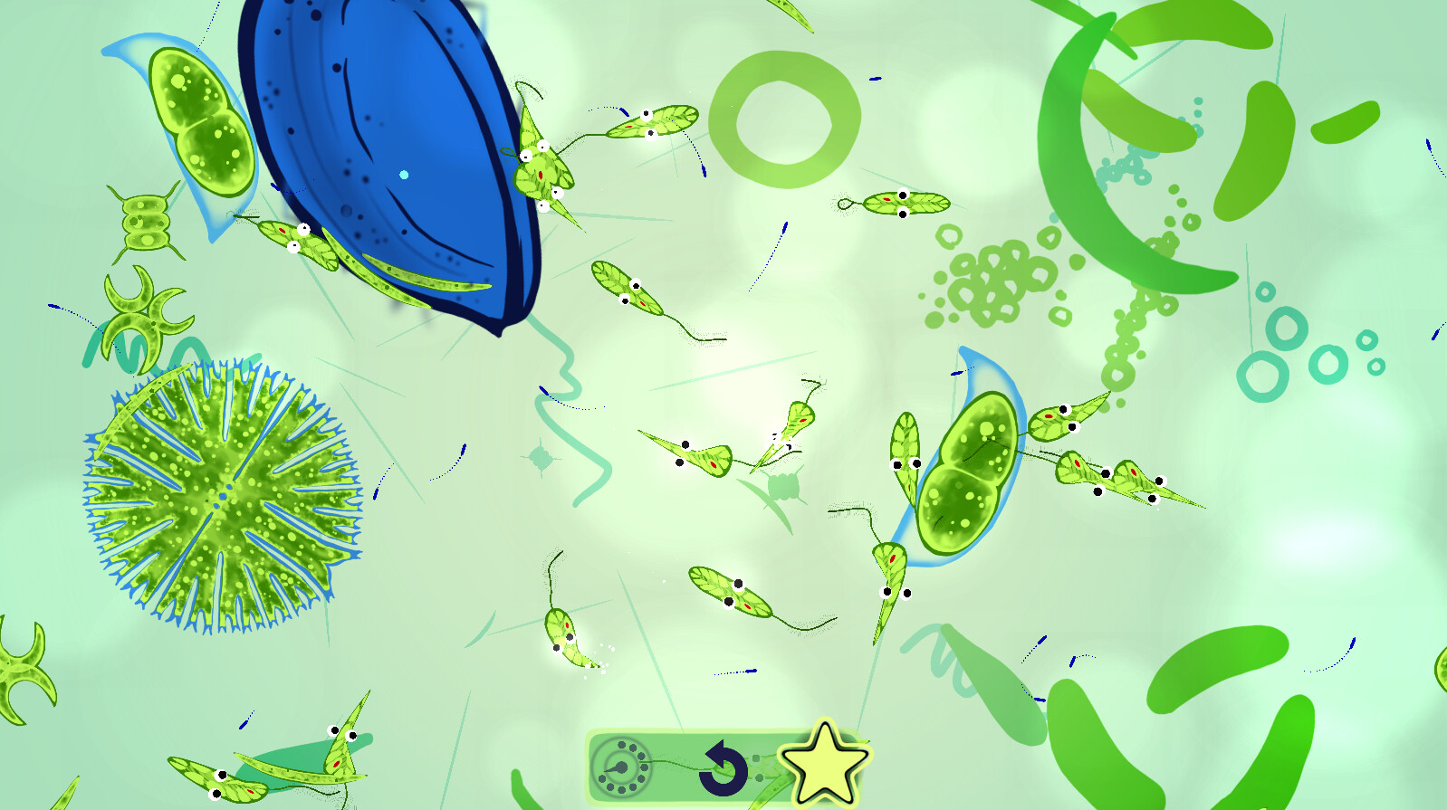 Aggi’s Tiny Friends