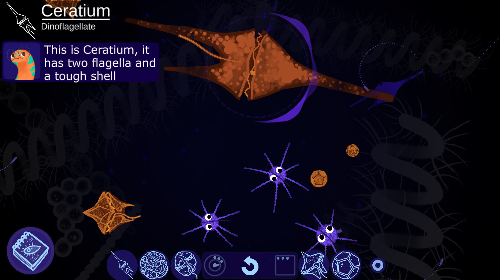 Aggi’s Tiny Friends