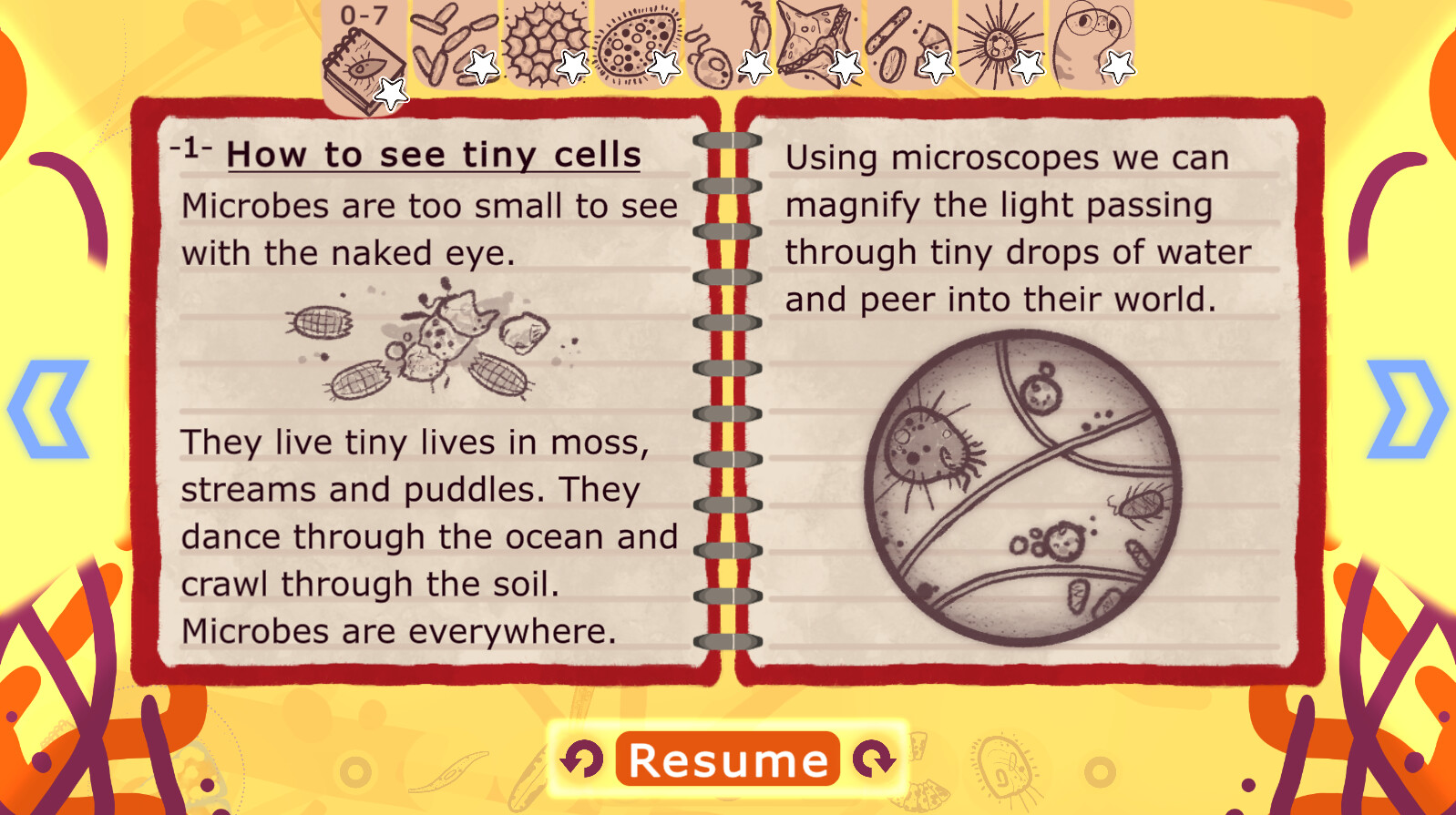 Aggi’s Tiny Friends