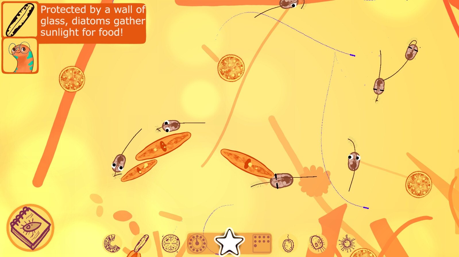 Aggi’s Tiny Friends