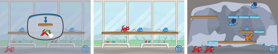 Cat Lab!