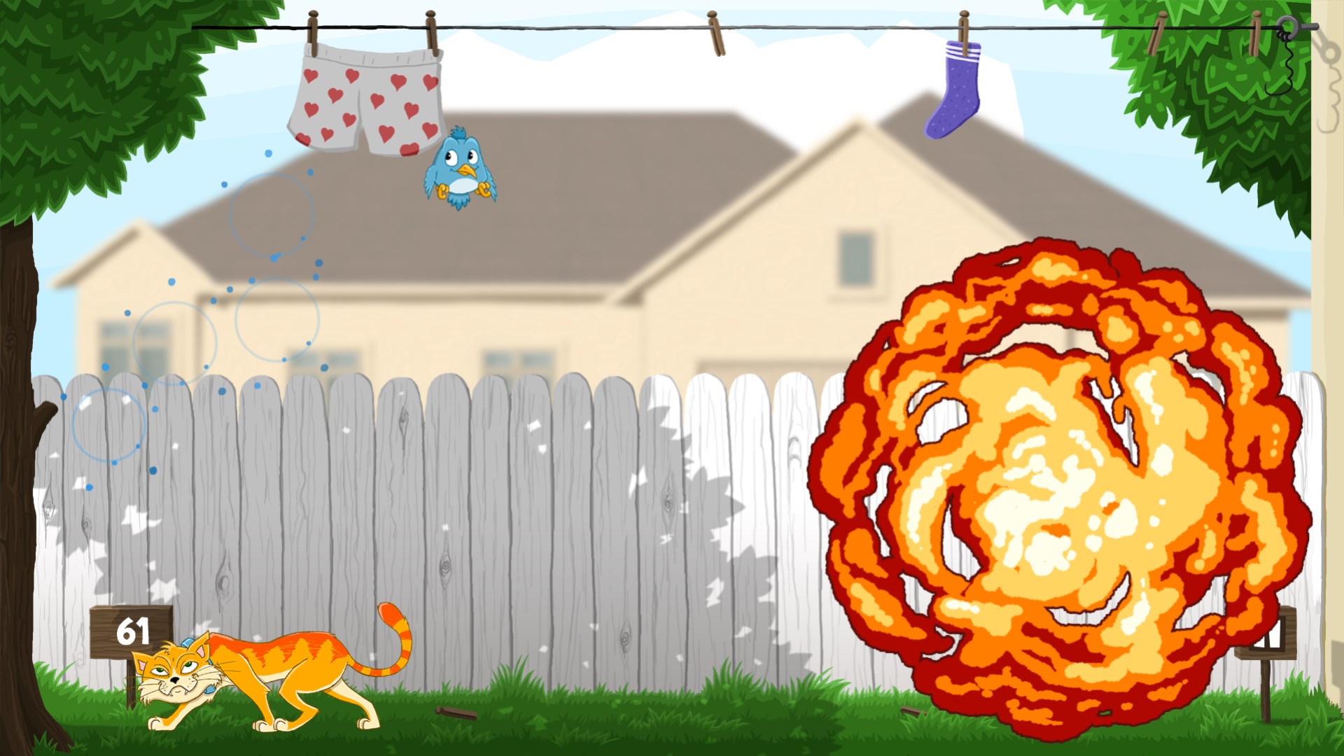 Cat’s Catch