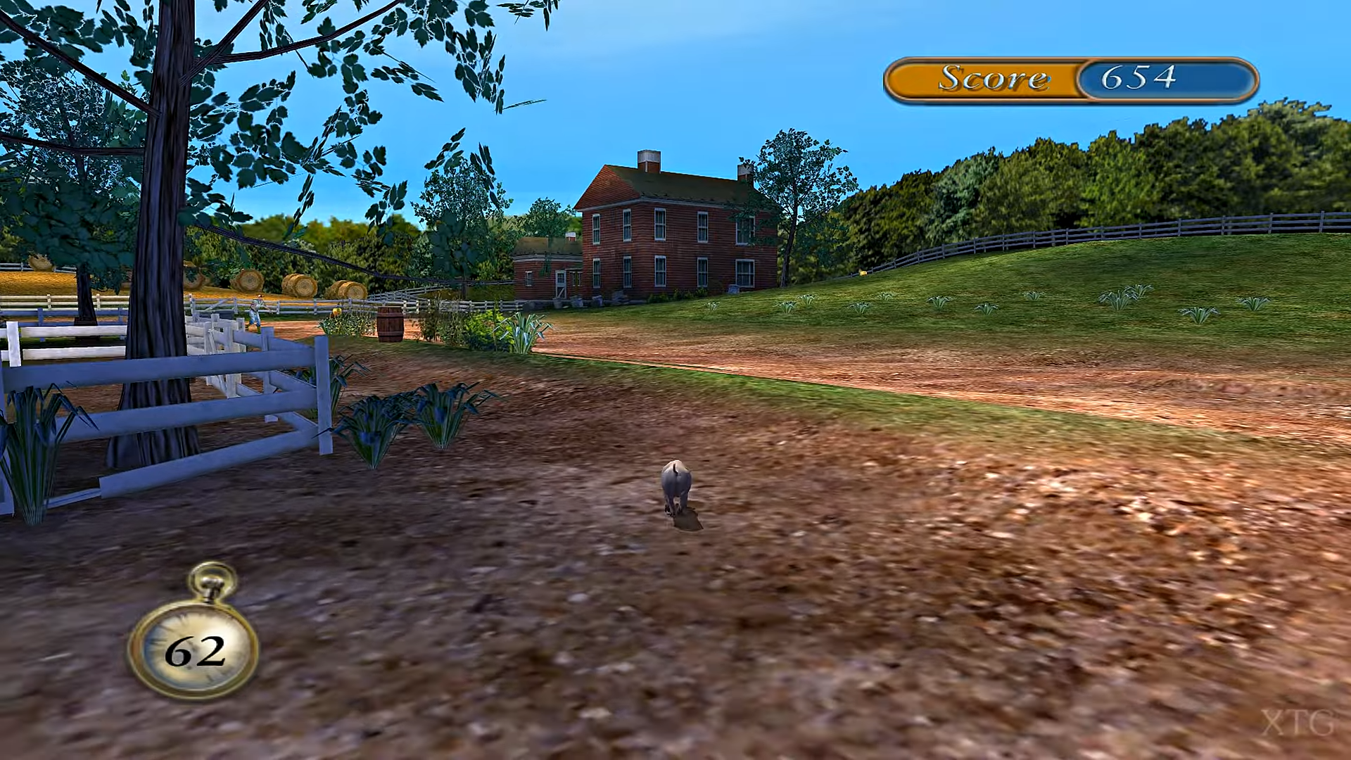 Charlotte’s Web