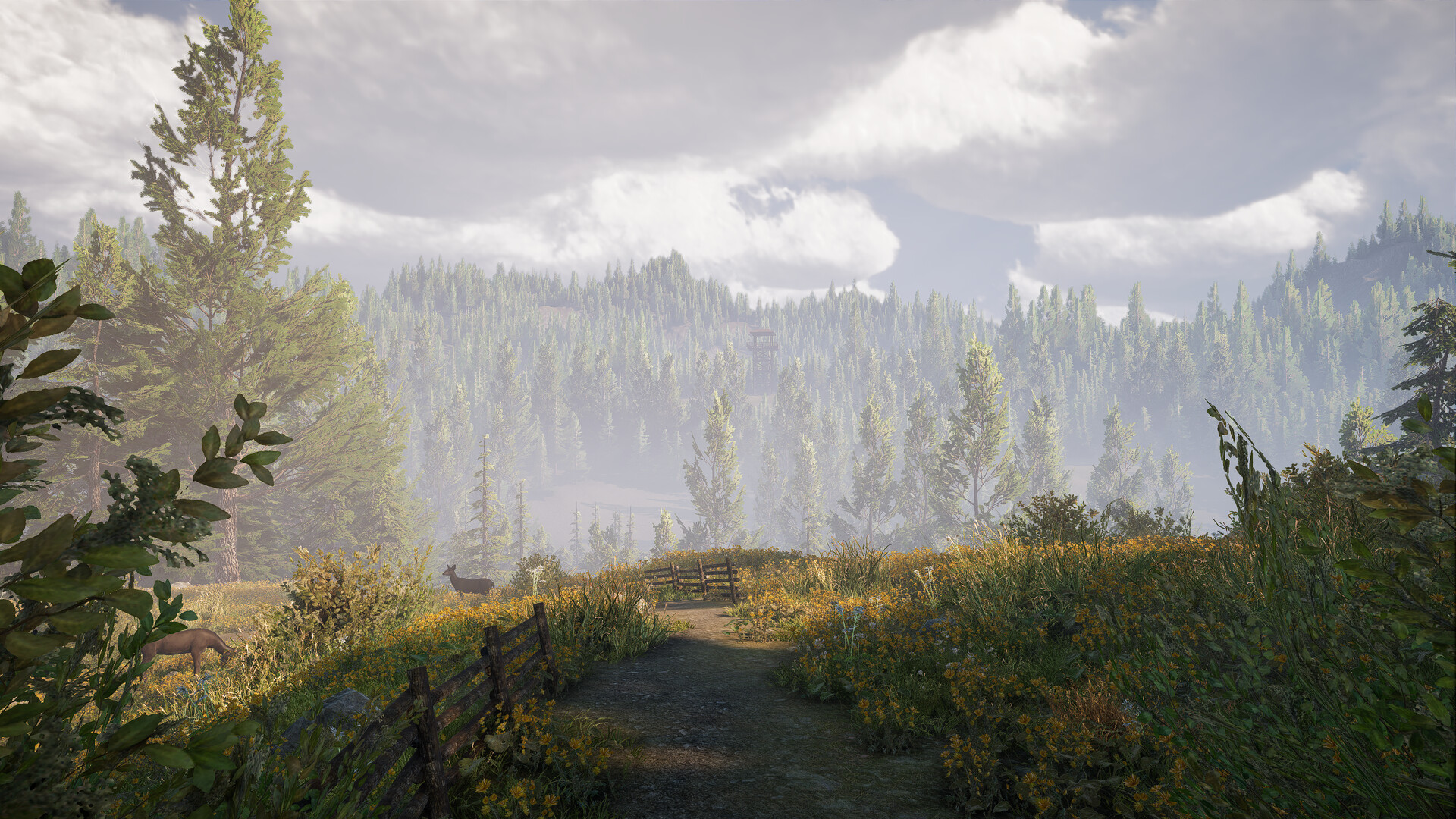 The Last Mile