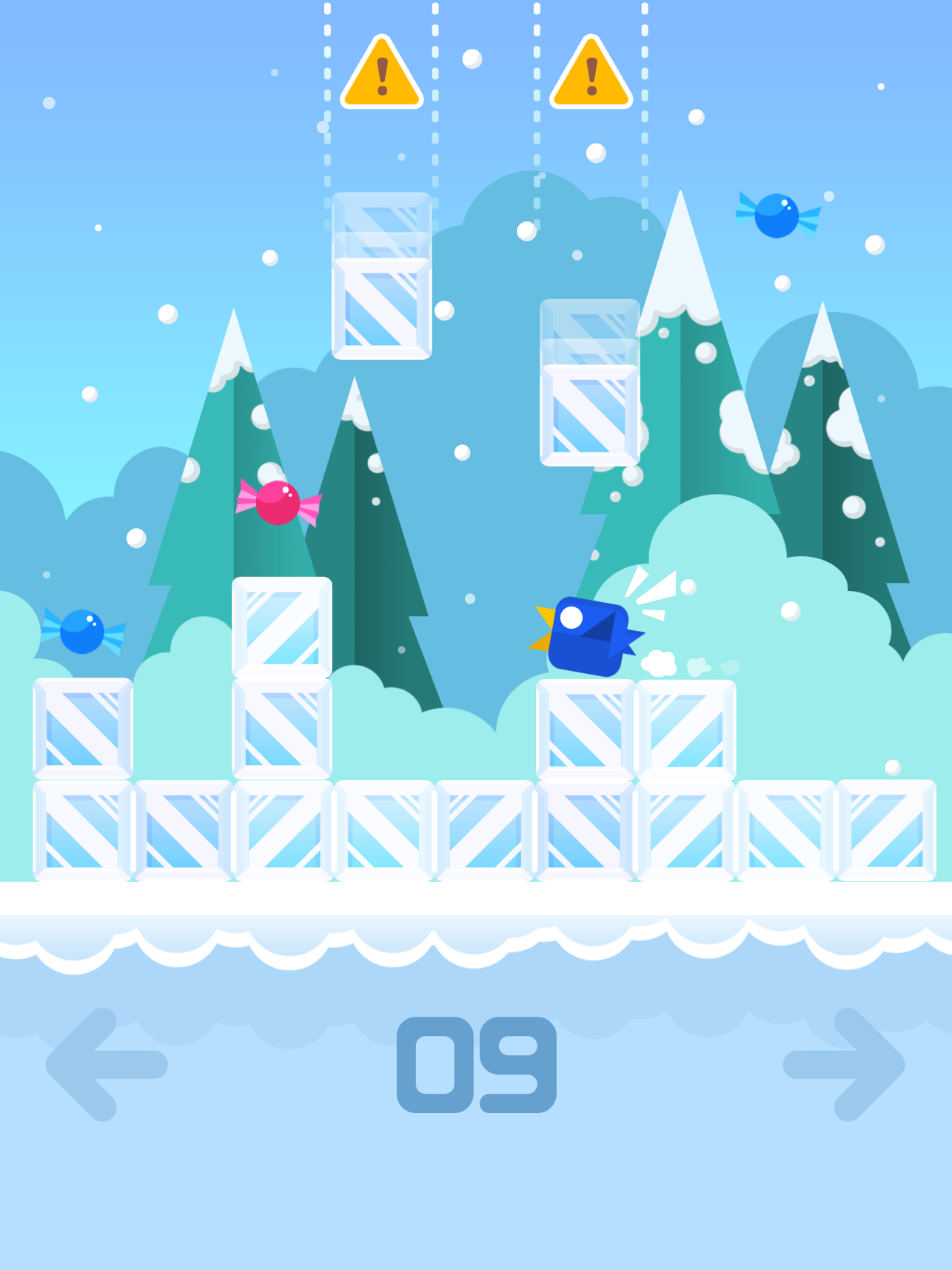 Run Bird Run