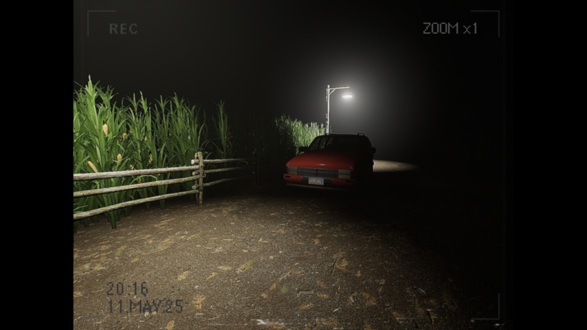 What Happened to Lily?