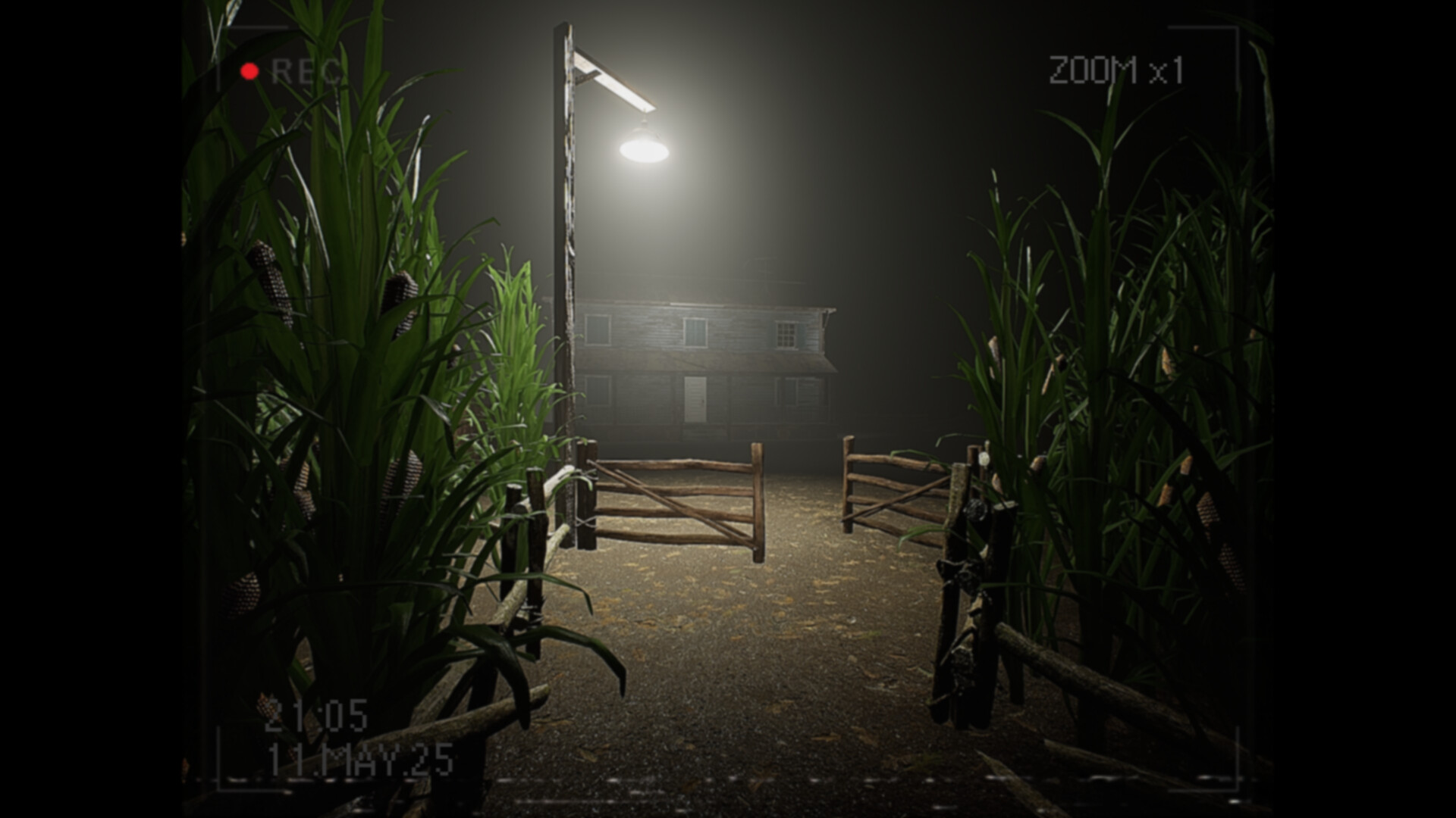 What Happened to Lily?