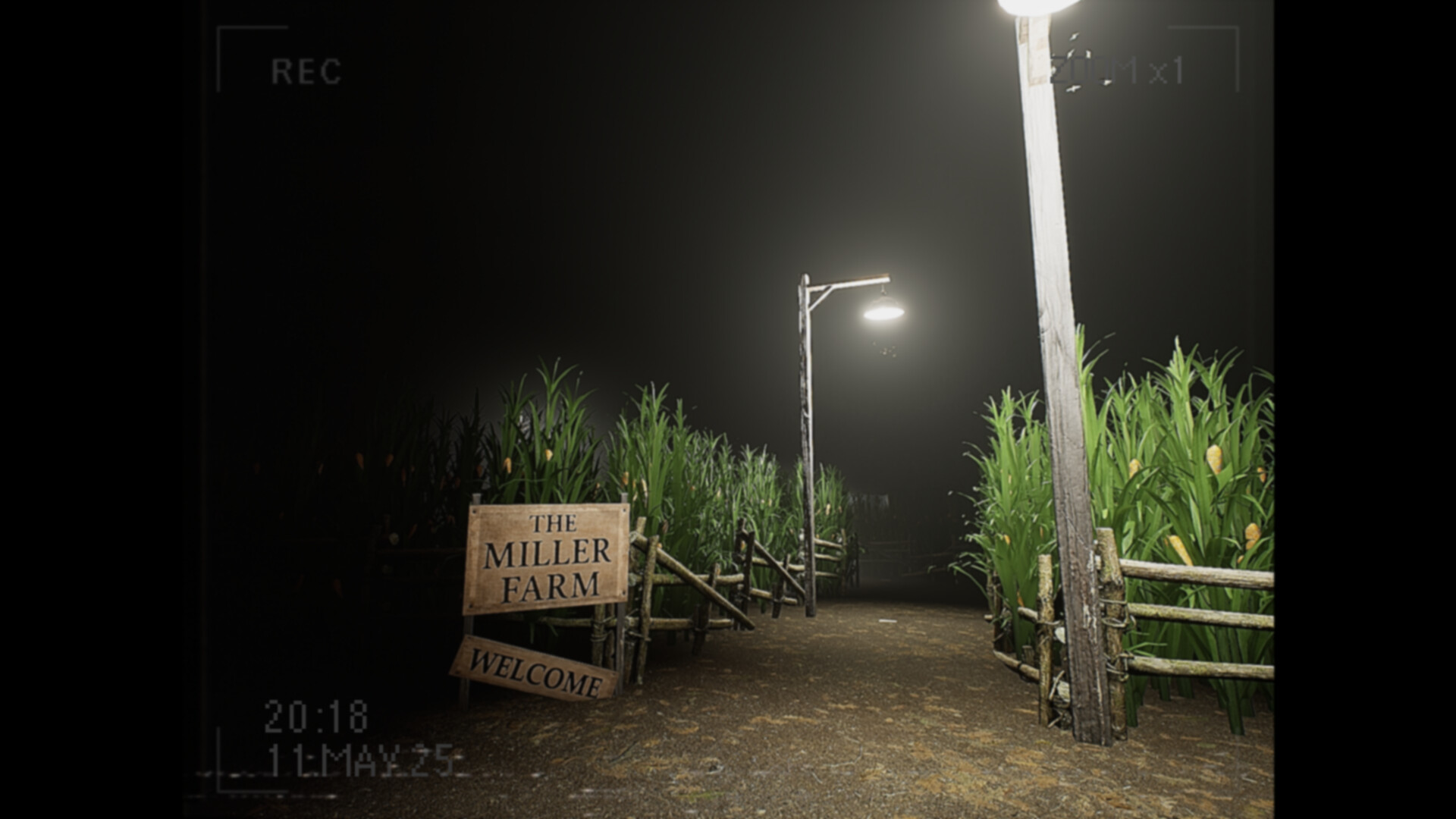 What Happened to Lily?