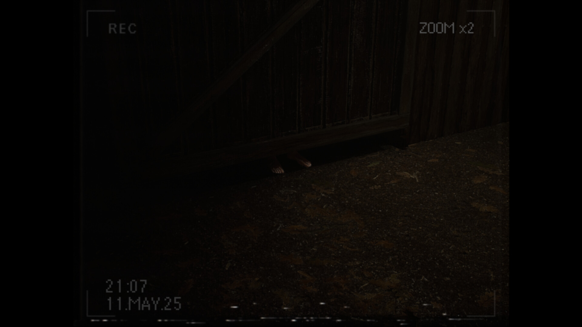 What Happened to Lily?