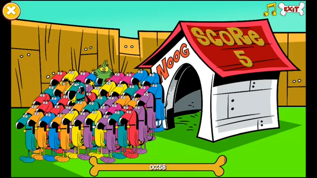 The Noog Network