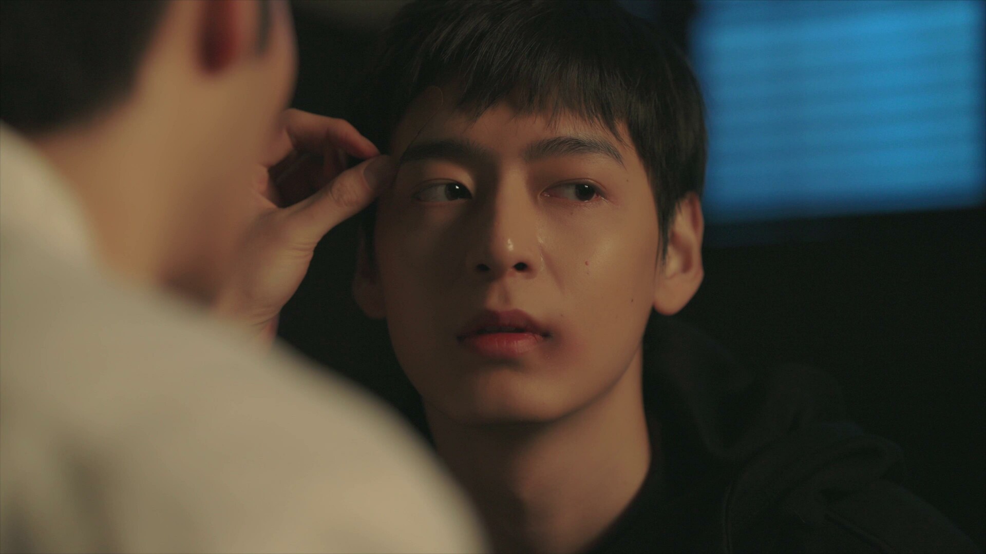 Tree’s Love Crossing Above