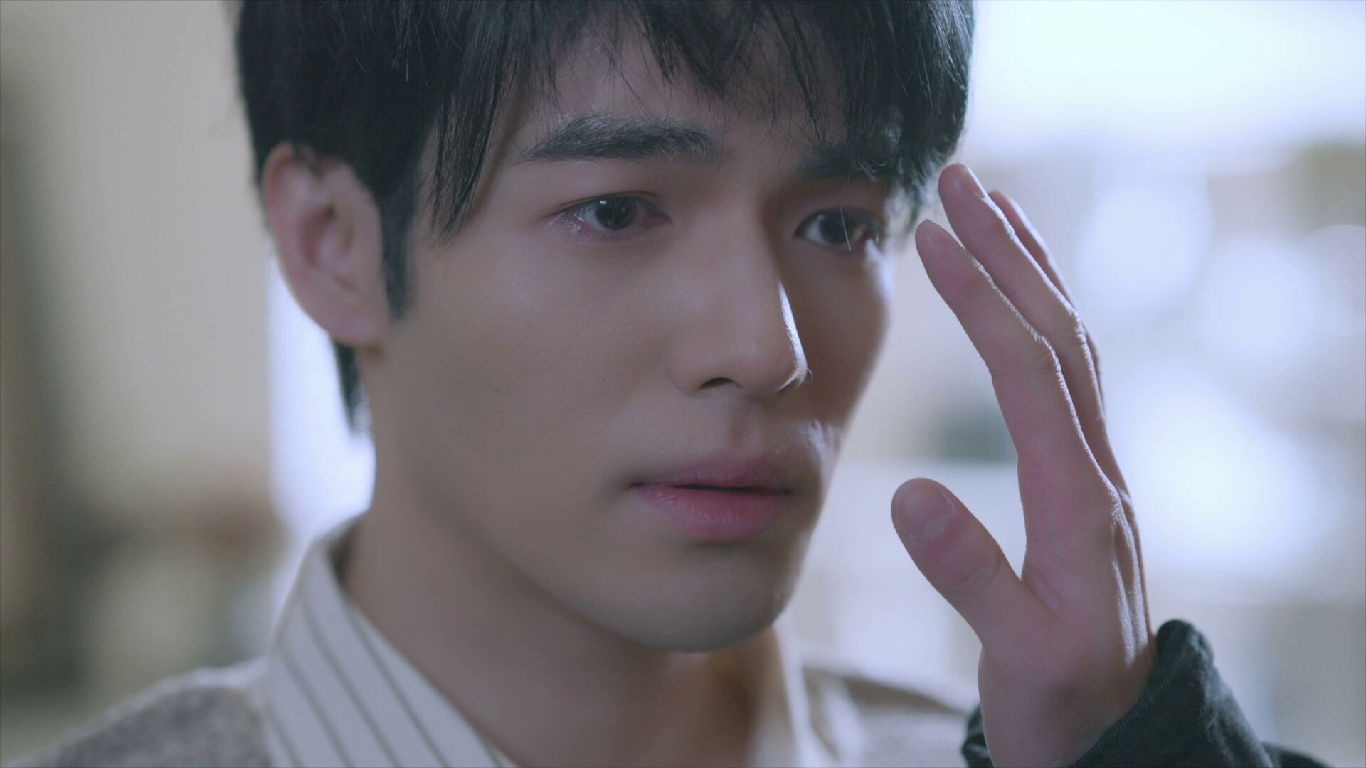 Tree’s Love Crossing Above