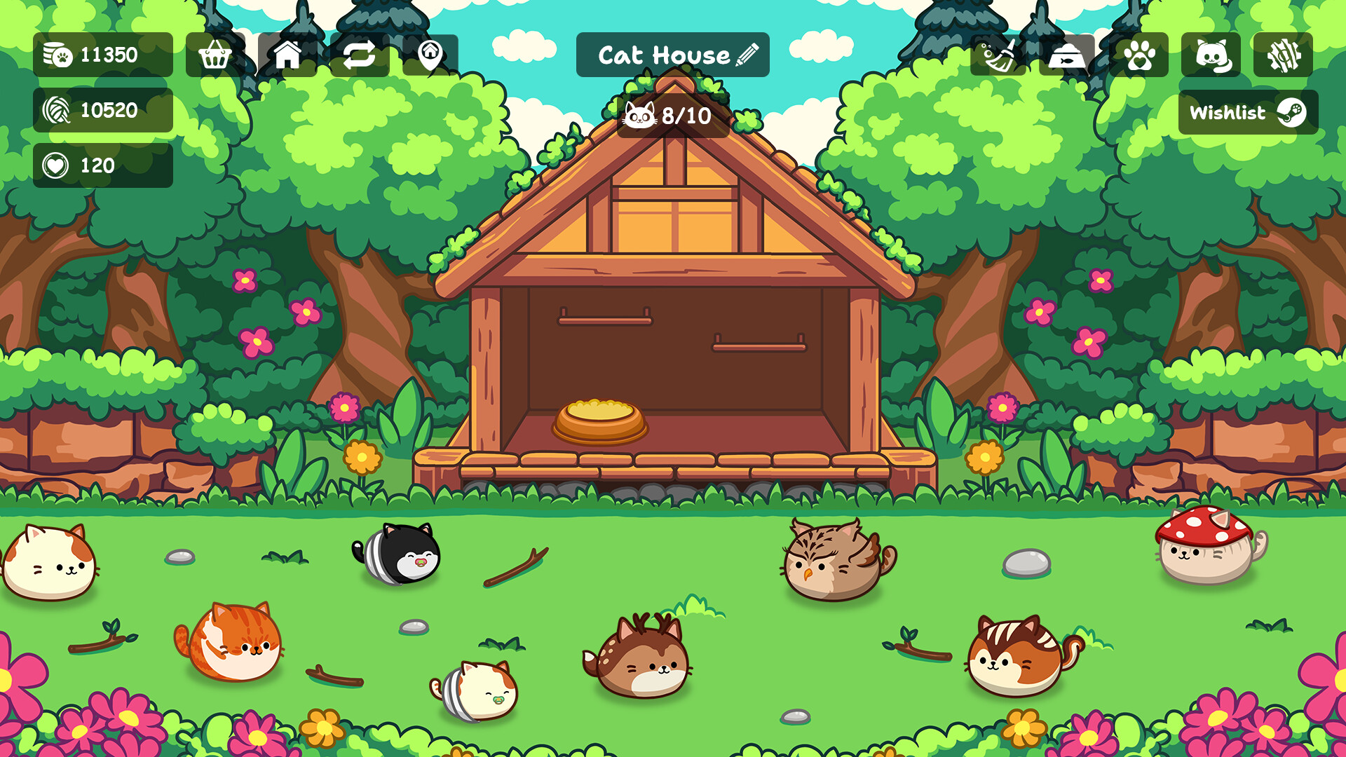 Cats are Money