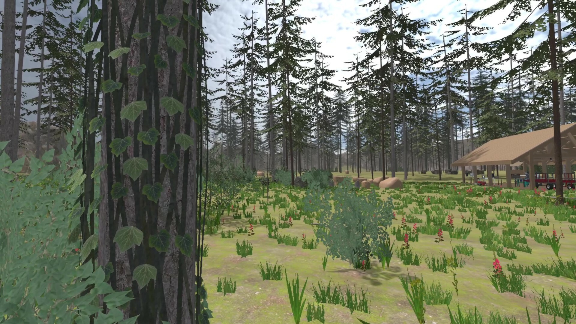 Forest Construction VR