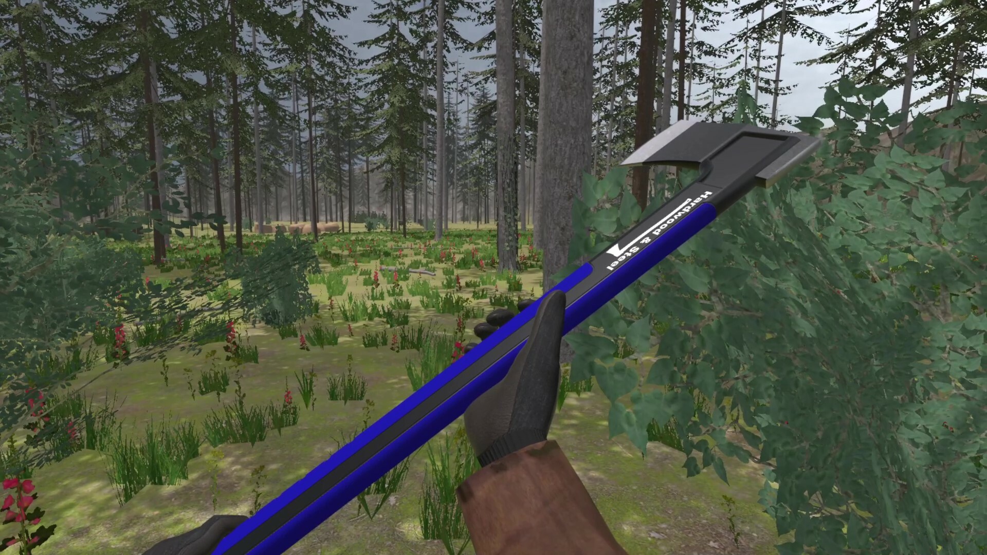 Forest Construction VR