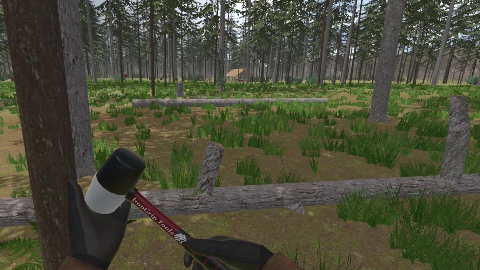 Forest Construction VR