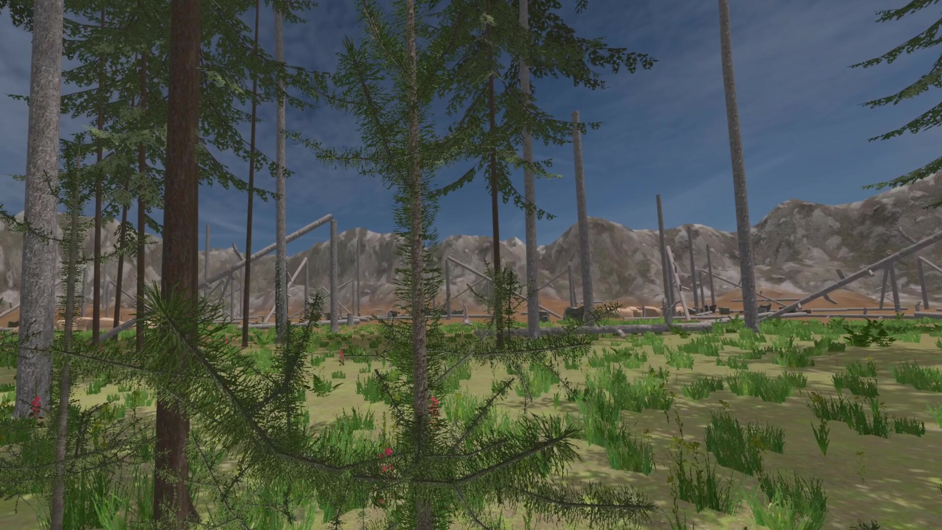 Forest Construction VR