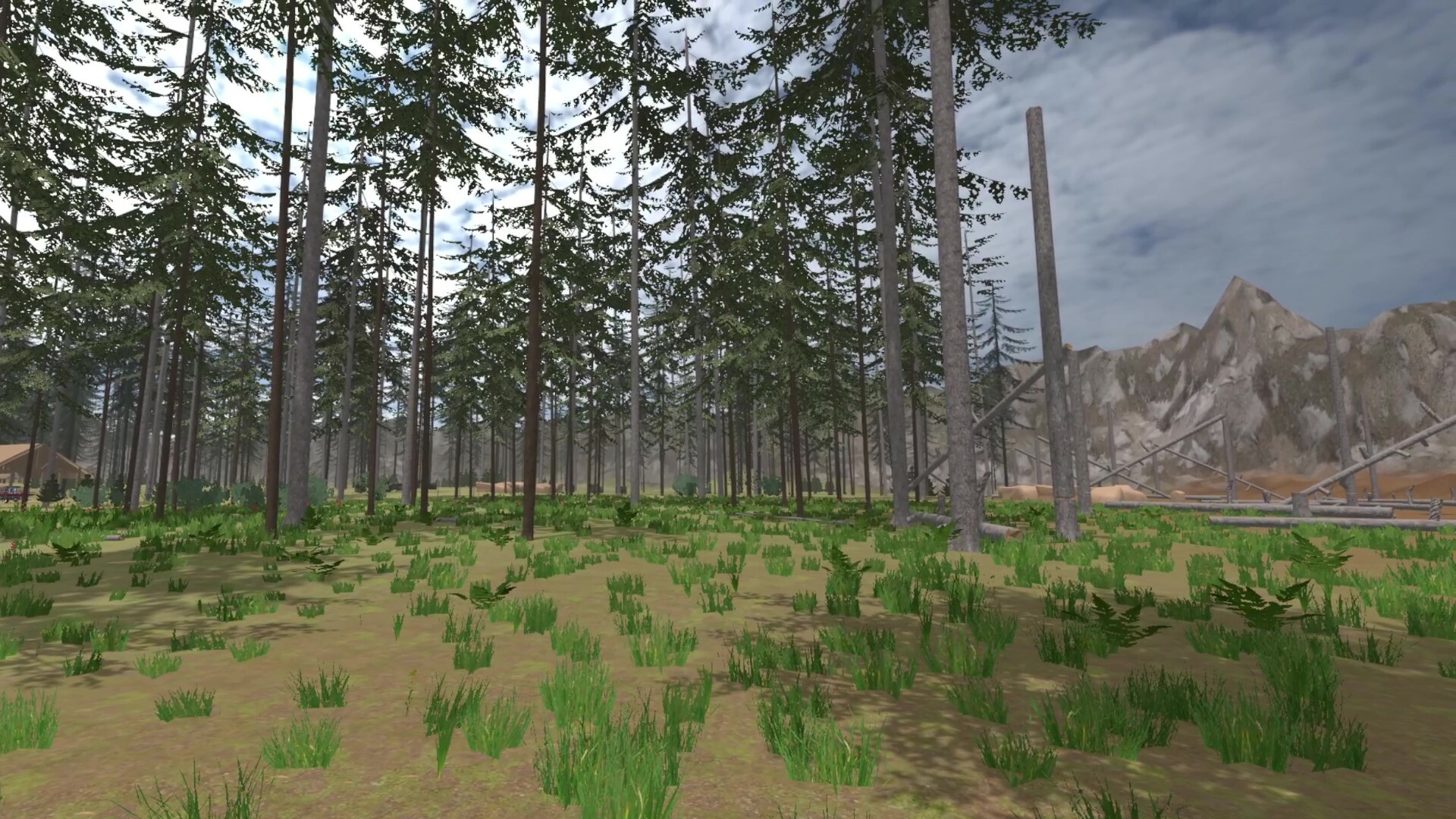 Forest Construction VR
