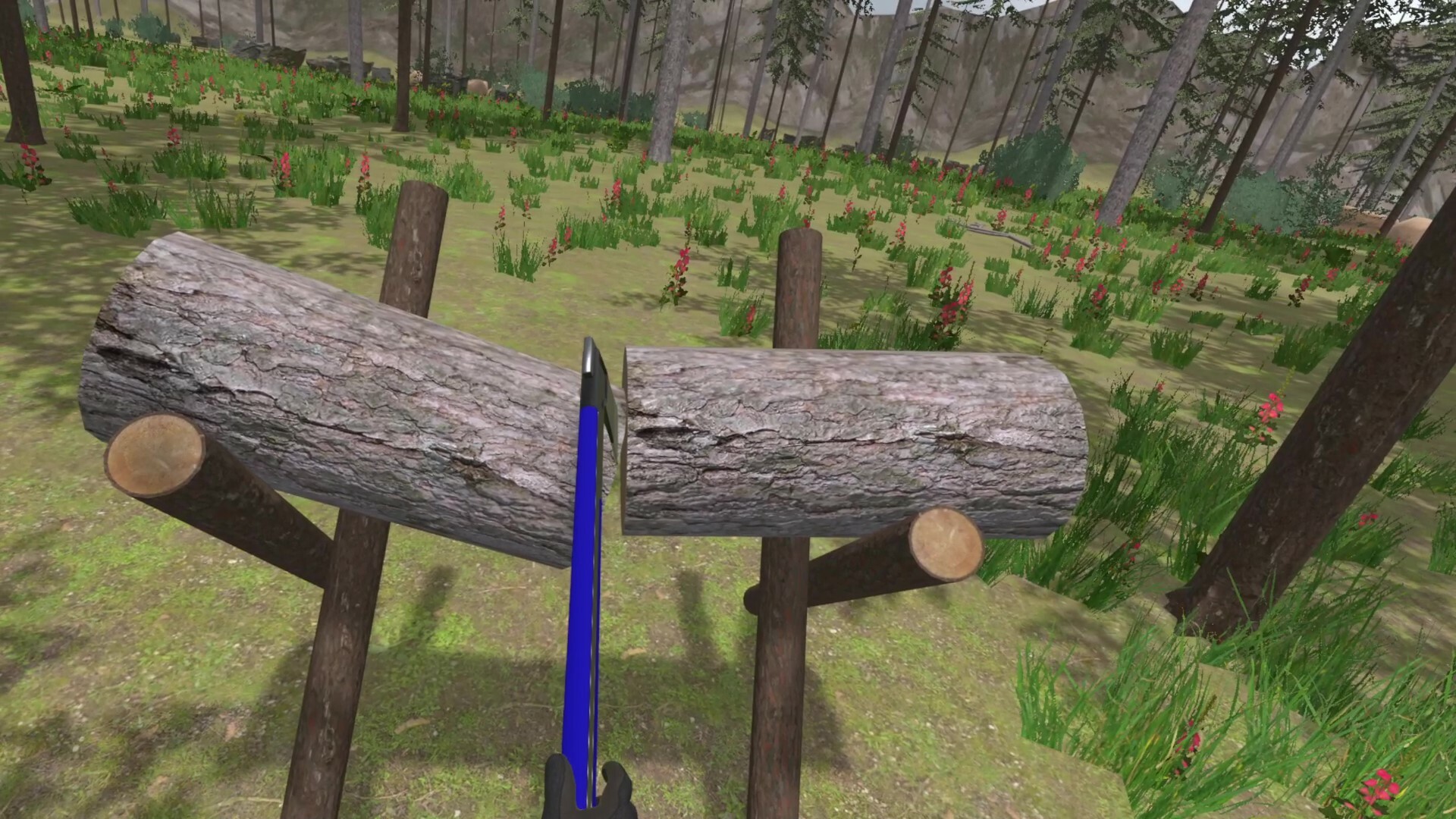 Forest Construction VR