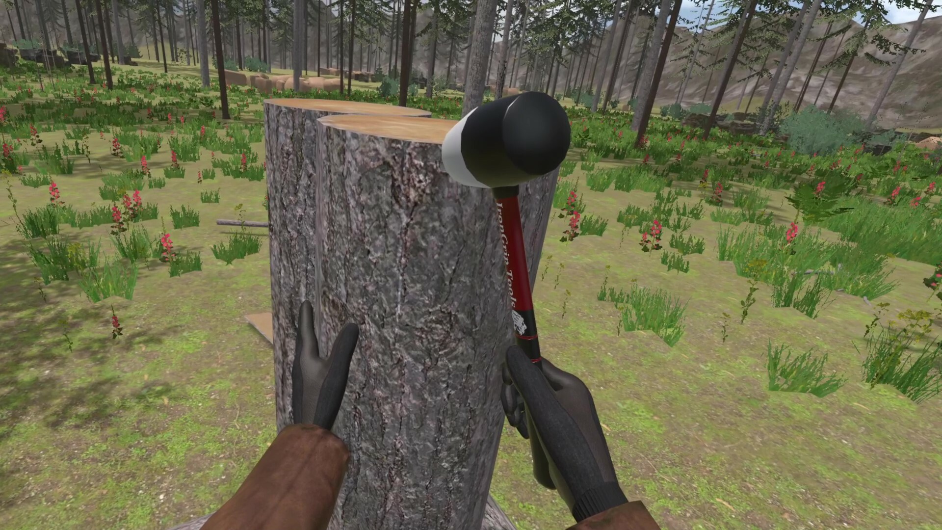 Forest Construction VR